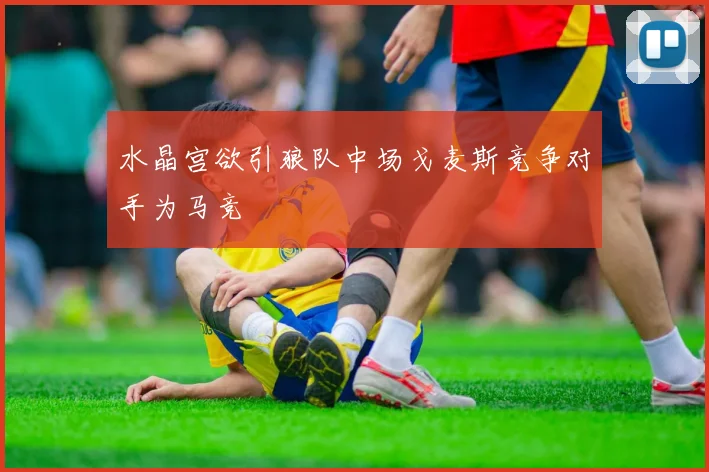 水晶宫欲引狼队中场戈麦斯竞争对手为马竞