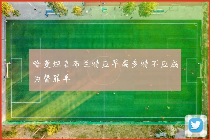 哈曼坦言布兰特应早离多特不应成为替罪羊