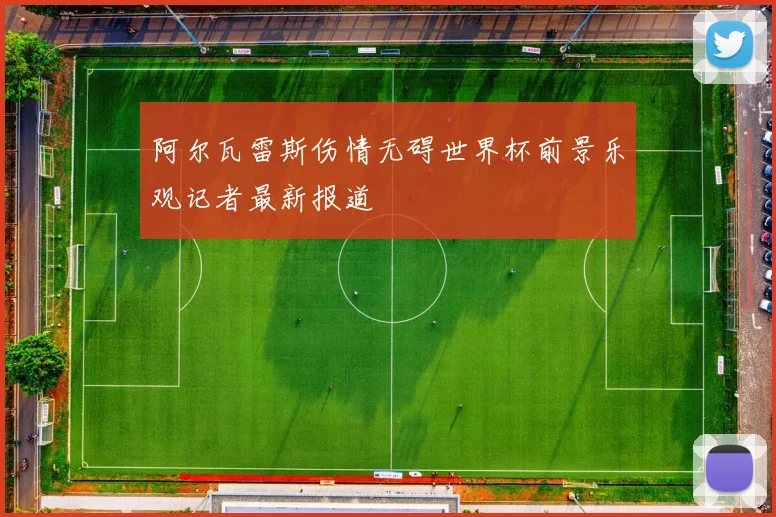 阿尔瓦雷斯伤情无碍世界杯前景乐观记者最新报道