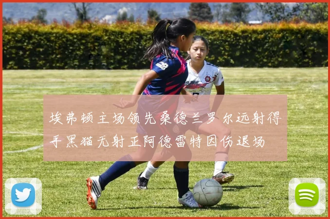 埃弗顿主场领先桑德兰罗尔远射得手黑猫无射正阿德雷特因伤退场